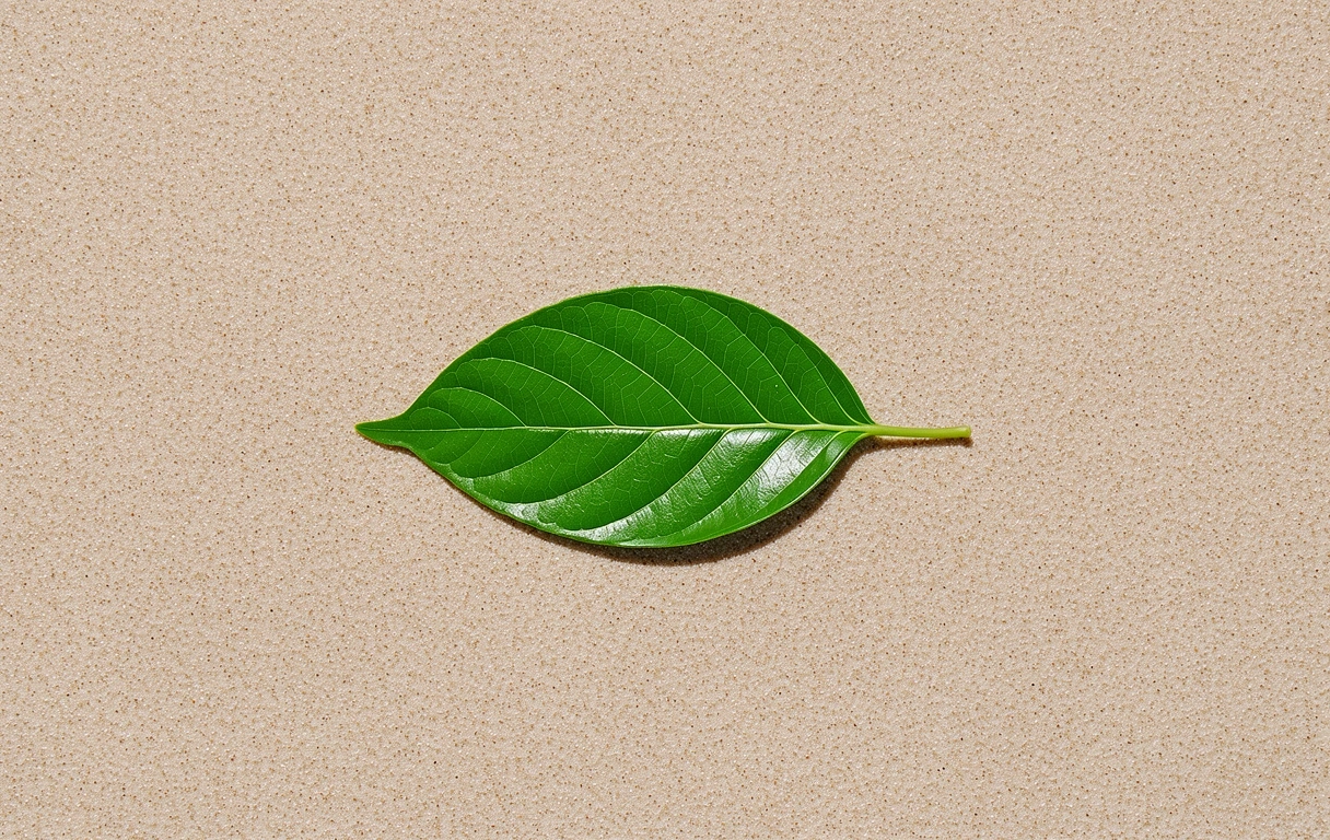 Natural hydration concept